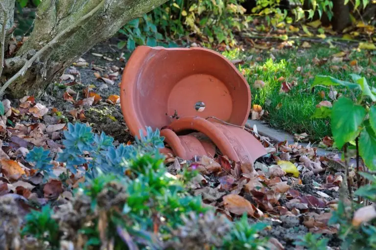 broken plant pot